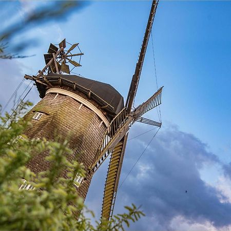 Ferienhaus Zirchow 1 Bagian luar foto